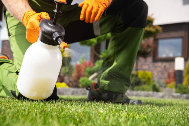 Best Pest Inspection Near Me  in Opp, AL