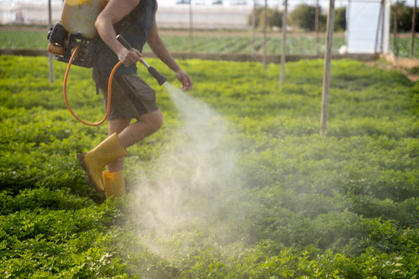 Reliable Opp, AL Pest Control Solutions
