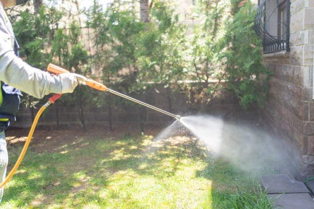 Best Pest Prevention Services  in Opp, AL