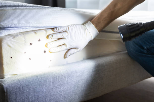 Best Pest Control for Businesses  in Opp, AL