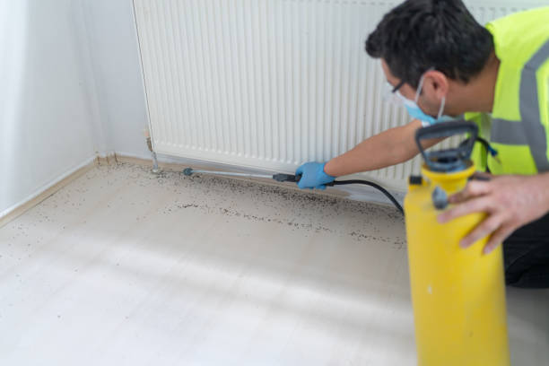 Best Termite Control Services  in Opp, AL